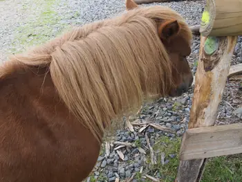 Ferme de la Planche (Blote voeten pad) (België)